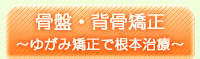 �ڍ��@ ��{�s ���Ɏ���